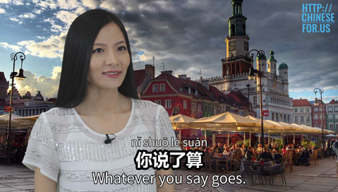 Learn how to say whatever you say goes, you decide in Chinese!