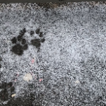 YouCanCallMeAni's avatar