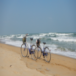 AlexOsstapenko's avatar