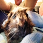 Lucia Acosta's avatar