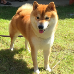 Bhattarabhop Viriyaroj's avatar