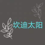 candisoledad's avatar