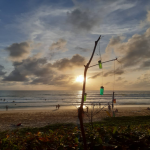 WilliamPhuket's avatar