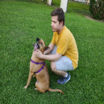 ultragermkiller's avatar