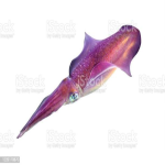 GenomicStrain's avatar