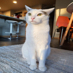 raynresort@gmail.com's avatar